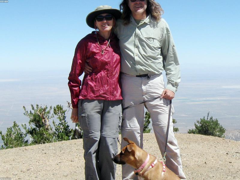10 Essential Tips for First-Time Dog Owners