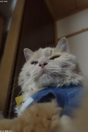 Photos